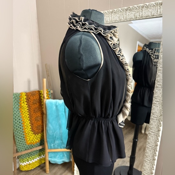 Robert Rodriguez • Neiman Marcus • Target • Victorian Ruffle Blouse - Picture 12 of 13